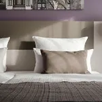 ليوناردو فايمار فايمر